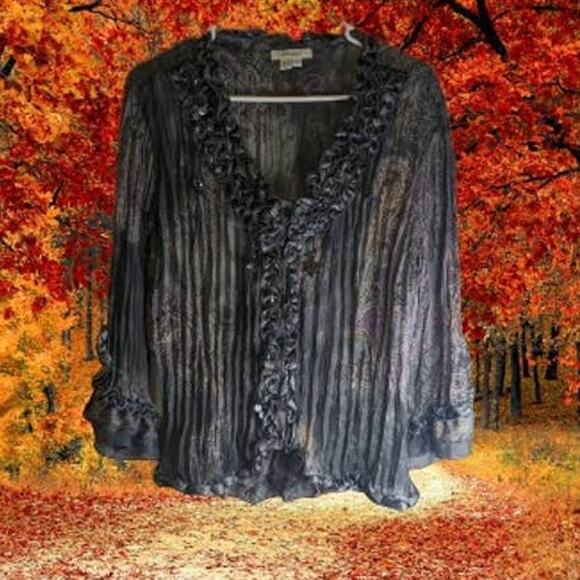 Dressbarn Large long sleeve black with ruffle trim and beaded accents top. Fall - Picture 1 of 1